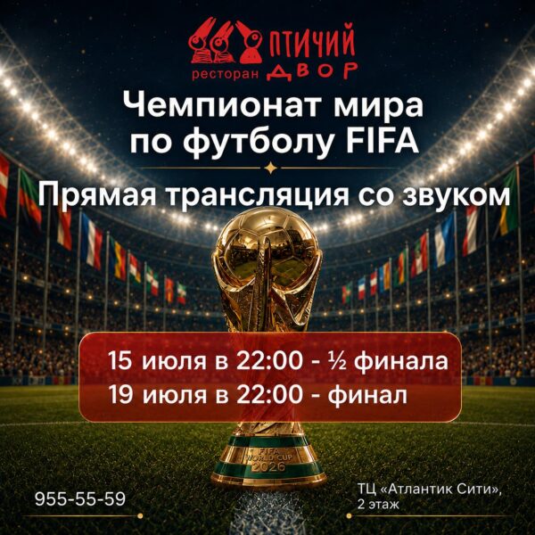 Чемпионат мира по футболу FIFA